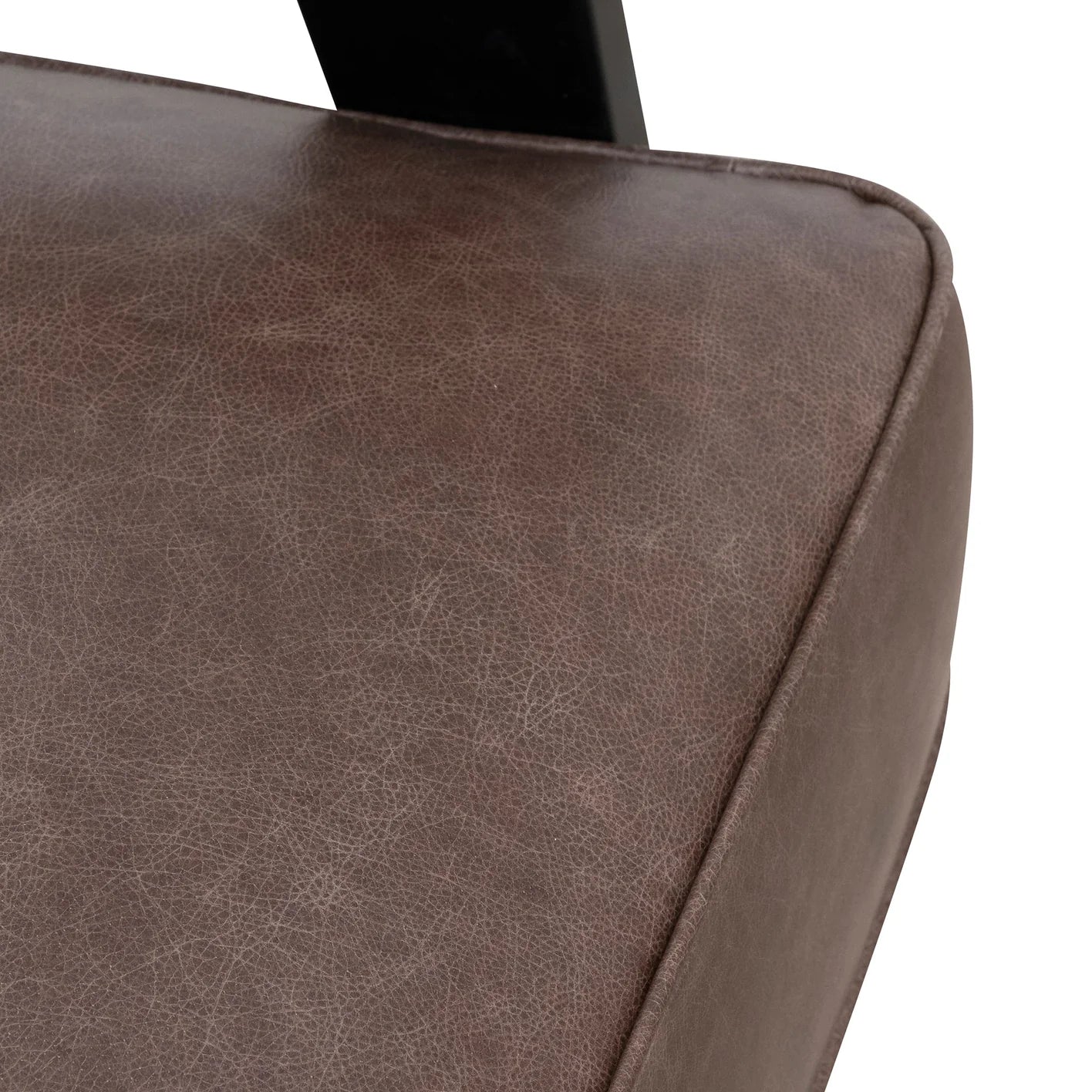 Polo’s Chaise Lounger